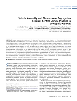 Spindle Assembly and Chromosome Segregation Requires Central Spindle Proteins in Drosophila Oocytes