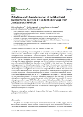 Detection and Characterization of Antibacterial Siderophores Secreted by Endophytic Fungi from Cymbidium Aloifolium