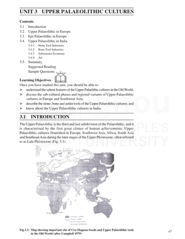 UPPER PALAEOLITHIC CULTURES Cultures