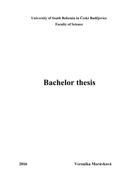 Bachelor Thesis