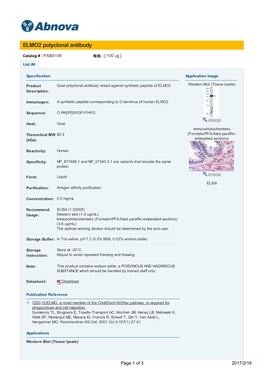 ELMO2 Polyclonal Antibody