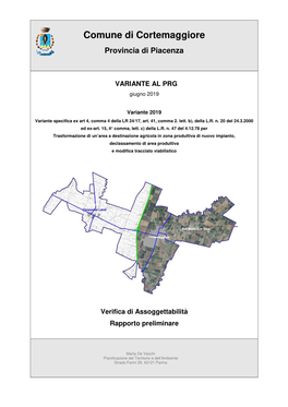 Rapporto Preliminare V2019 DEF