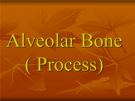 Alveolar Bone ( Process) the Alveolar Bone May Be Defined As That Part of the Maxilla and the Mandible That Forms and Supports the Sockets of the Teeth