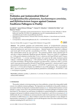 Probiotics and Antimicrobial Effect of Lactiplantibacillus Plantarum, Saccharomyces Cerevisiae, and Bifidobacterium Longum Again