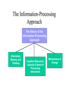 The Information-Processing Approach