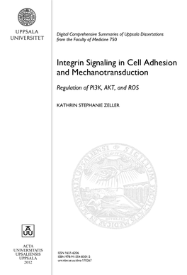 Integrin Signaling in Cell Adhesion and Mechanotransduction: Regulation of PI3K, AKT, And