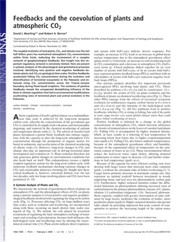 Feedbacks and the Coevolution of Plants and Atmospheric CO2 David J