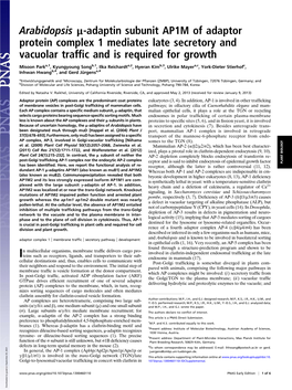 Arabidopsis Μ-Adaptin Subunit AP1M of Adaptor Protein Complex 1 Mediates Late Secretory and Vacuolar Trafﬁc and Is Required for Growth