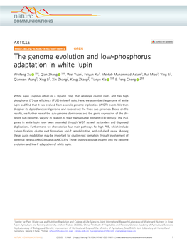 The Genome Evolution and Low-Phosphorus Adaptation in White