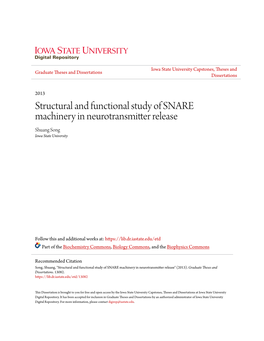 Structural and Functional Study of SNARE Machinery in Neurotransmitter Release Shuang Song Iowa State University