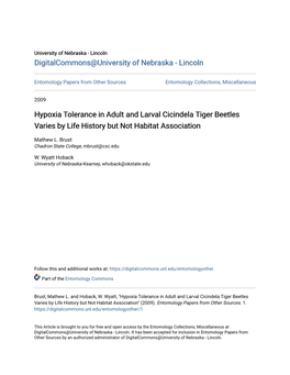 Hypoxia Tolerance in Adult and Larval Cicindela Tiger Beetles Varies by Life History but Not Habitat Association