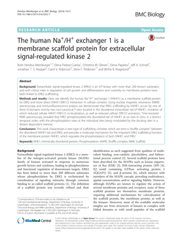 The Human Na+/H+ Exchanger 1 Is a Membrane Scaffold Protein for Extracellular Signal-Regulated Kinase 2 Ruth Hendus-Altenburger1,2, Elena Pedraz-Cuesta1, Christina W