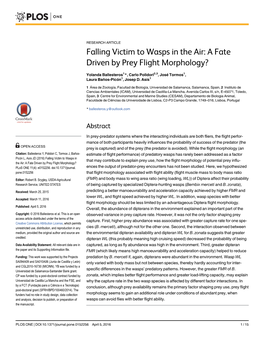 Falling Victim to Wasps in the Air: a Fate Driven by Prey Flight Morphology?