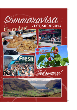 God Sommar! 2 SOMMERAVIS 2014 Høyr Einar Bolstad I Vikjahalli!