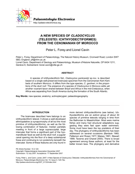 Teleostei: Ichthyodectiformes) from the Cenomanian of Morocco