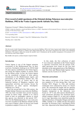 First Record of Adult Specimens of the Oriental Shrimp Palaemon Macrodactylus Rathbun, 1902 in the Venice Lagoon (North Adriatic Sea, Italy)