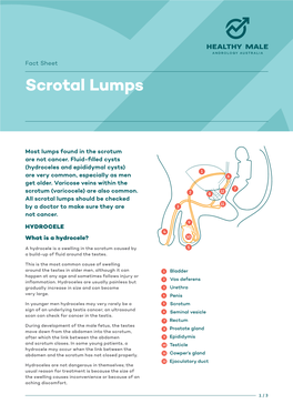 Scrotal Lumps