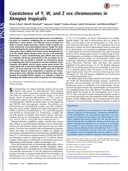 Coexistence of Y, W, and Z Sex Chromosomes in Xenopus Tropicalis