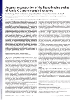 Glutamate Receptors (Mglurs) Within the Family Heteromeric Taste Receptor Are All Directly Activated by Amino Acids