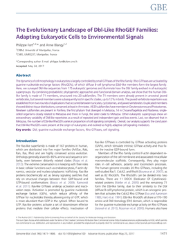 The Evolutionary Landscape of Dbl-Like Rhogef Families: Adapting Eukaryotic Cells to Environmental Signals