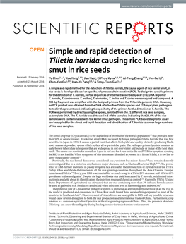 Simple and Rapid Detection of Tilletia Horrida Causing Rice Kernel Smut In