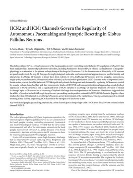 HCN2 and HCN1 Channels Govern the Regularity of Autonomous Pacemaking and Synaptic Resetting in Globus Pallidus Neurons