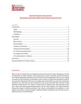 Rapid Protection Assessment November-December 2018: South West Cameroon (2)