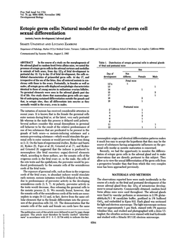 Natural Model for the Study of Germ Cell Sexual Differentiation