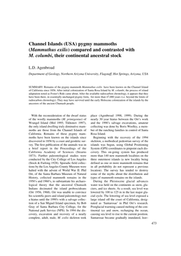 Channel Islands (USA) Pygmy Mammoths (Mammuthus Exilis) Compared and Contrasted with M