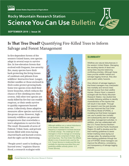 S That Tree Dead? Quantifying Fire-Killed Trees to Inform Salvage and Forest Management