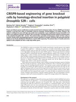 CRISPR-Based Engineering of Gene Knockout Cells by Homology-Directed Insertion in Polyploid Drosophila S2R+ Cells