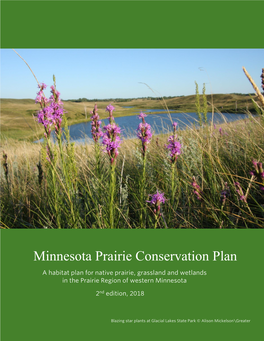 Minnesota Prairie Conservation Plan