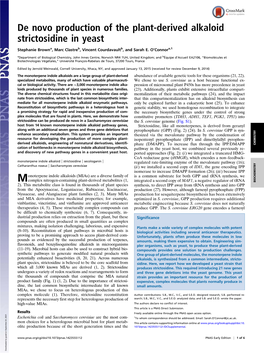 De Novo Production of the Plant-Derived Alkaloid Strictosidine in Yeast