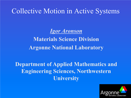Collective Motion in Active Systems