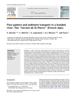 Flow Pattern and Sediment Transport in a Braided River: the ''Torrent De St