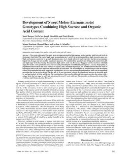 Development of Sweet Melon (Cucumis Melo)