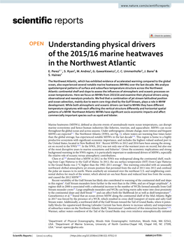 Understanding Physical Drivers of the 2015/16 Marine Heatwaves in the Northwest Atlantic E