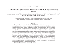 AFM Study of the Epitaxial Growth of Brushite (Cahpo4.2H2O) On