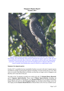 Singapore Raptor Report October 2017