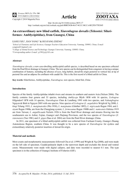 An Extraordinary New Blind Catfish, Xiurenbagrus Dorsalis (Teleostei: Siluriformes: Amblycipitidae), from Guangxi, China