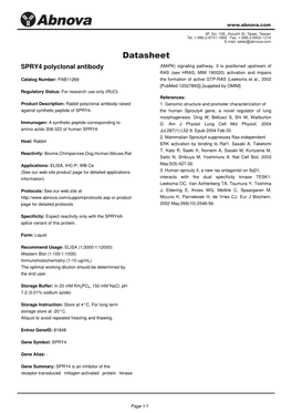 SPRY4 Polyclonal Antibody (MAPK) Signaling Pathway