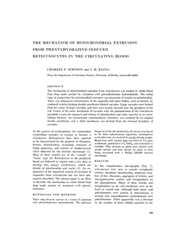 The Mechanism of Mitochondrial Extrusion from Phenylhydrazine-Induced Reticulocytes in the Circulating Blood