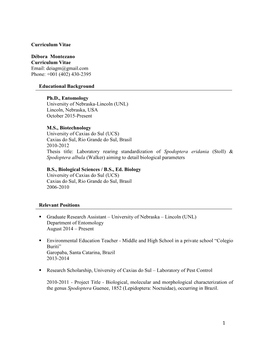 1 Curriculum Vitae Débora Montezano Curriculum Vitae Email