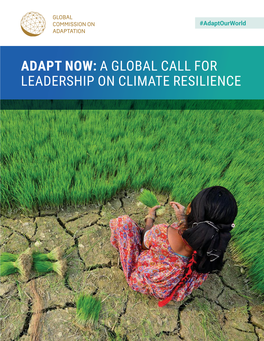 Adapt Now: a Global Call for Leadership on Climate Resilience the Global Commission on Adaptation