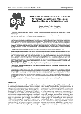 Producción Y Comercialización De La Larva De Rhynchophorus Palmarum (Coleoptera: Dryophtoridae) En La Amazonía Peruana