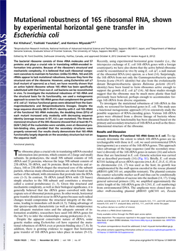 Mutational Robustness of 16S Ribosomal RNA, Shown by Experimental Horizontal Gene Transfer in Escherichia Coli