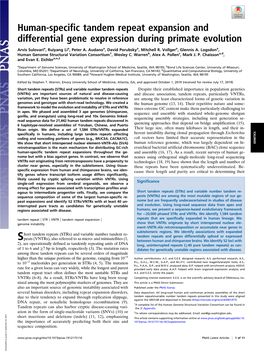 Human-Specific Tandem Repeat Expansion and Differential Gene Expression During Primate Evolution