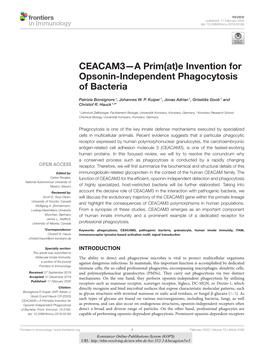 CEACAM3—A Prim(At)E Invention for Opsonin-Independent Phagocytosis of Bacteria
