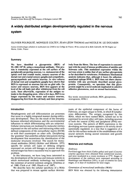 A Widely Distributed Antigen Developmentally Regulated in the Nervous System