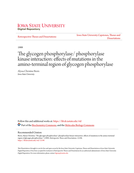 The Glycogen Phosphorylase